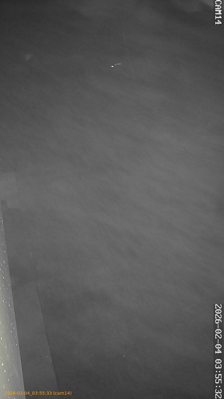 thumbnail_20260204035533