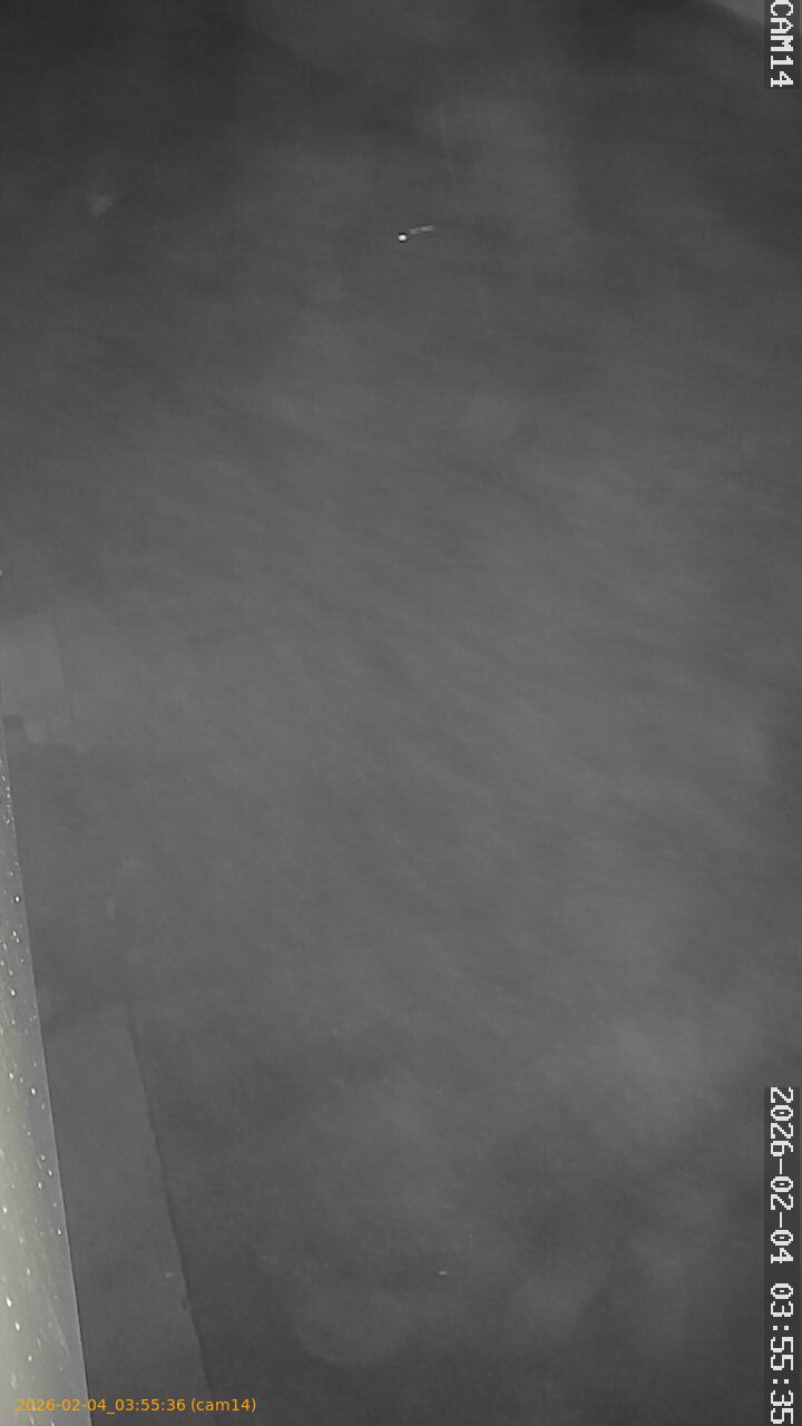 thumbnail_20260204035536