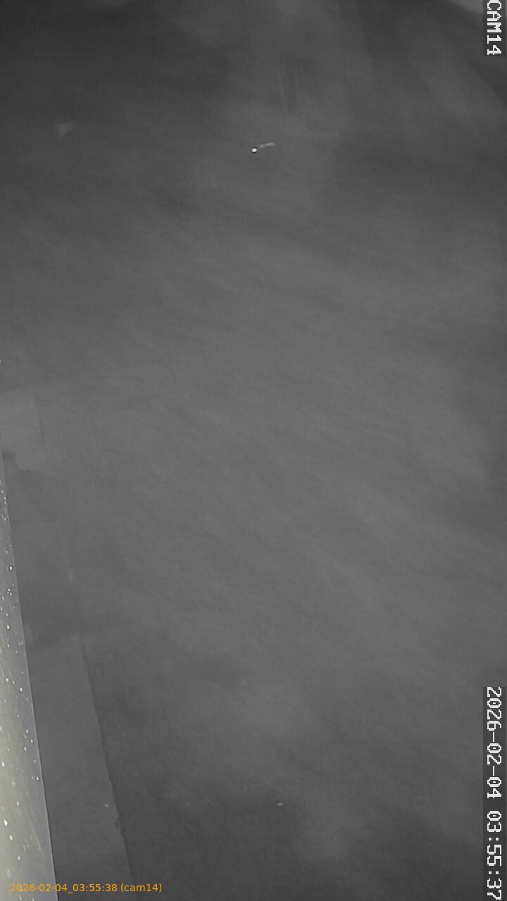 thumbnail_20260204035538