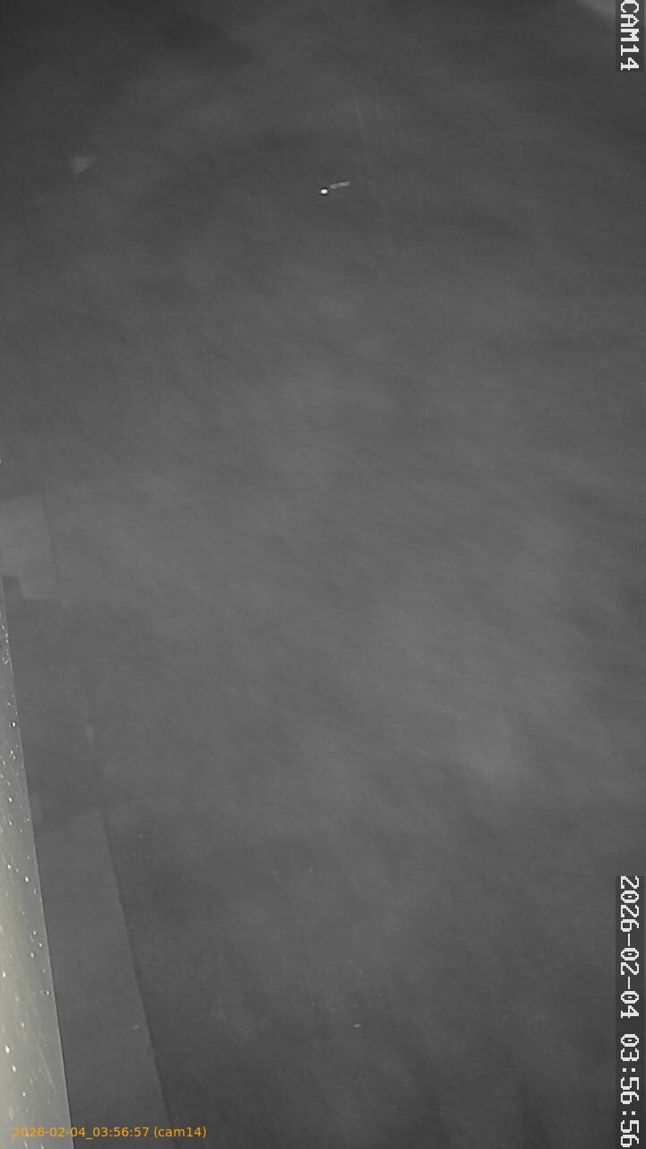 thumbnail_20260204035657