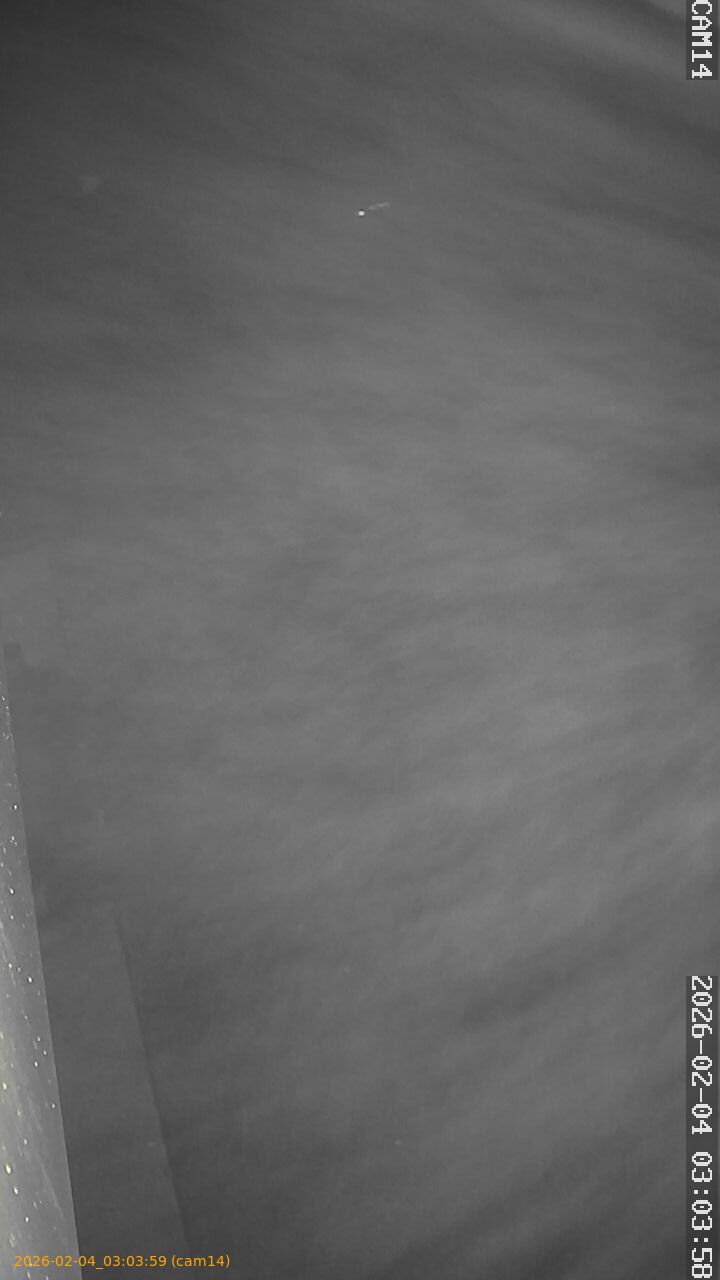 thumbnail_202602040303