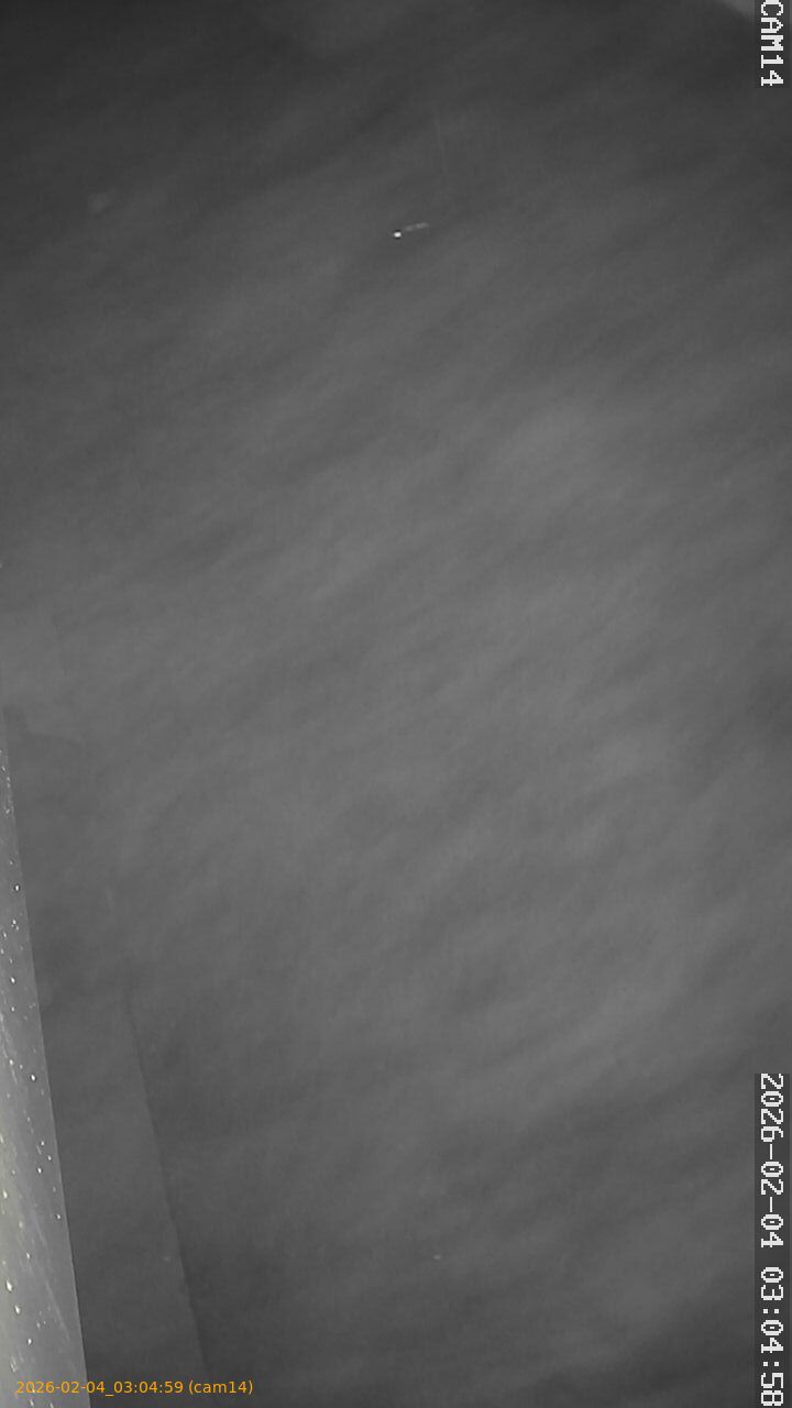 thumbnail_202602040304