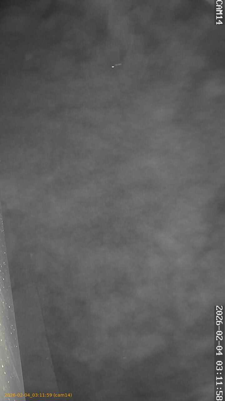 thumbnail_202602040311