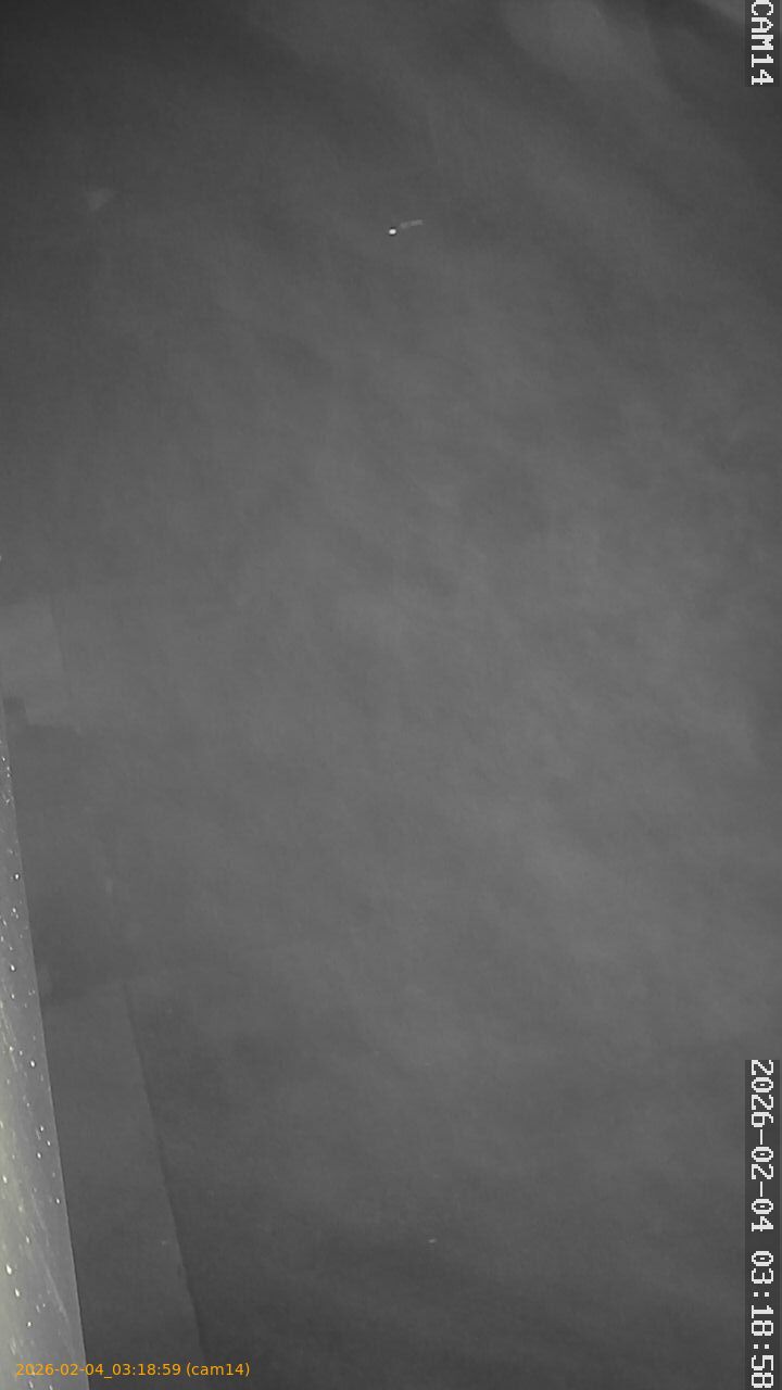 thumbnail_202602040318