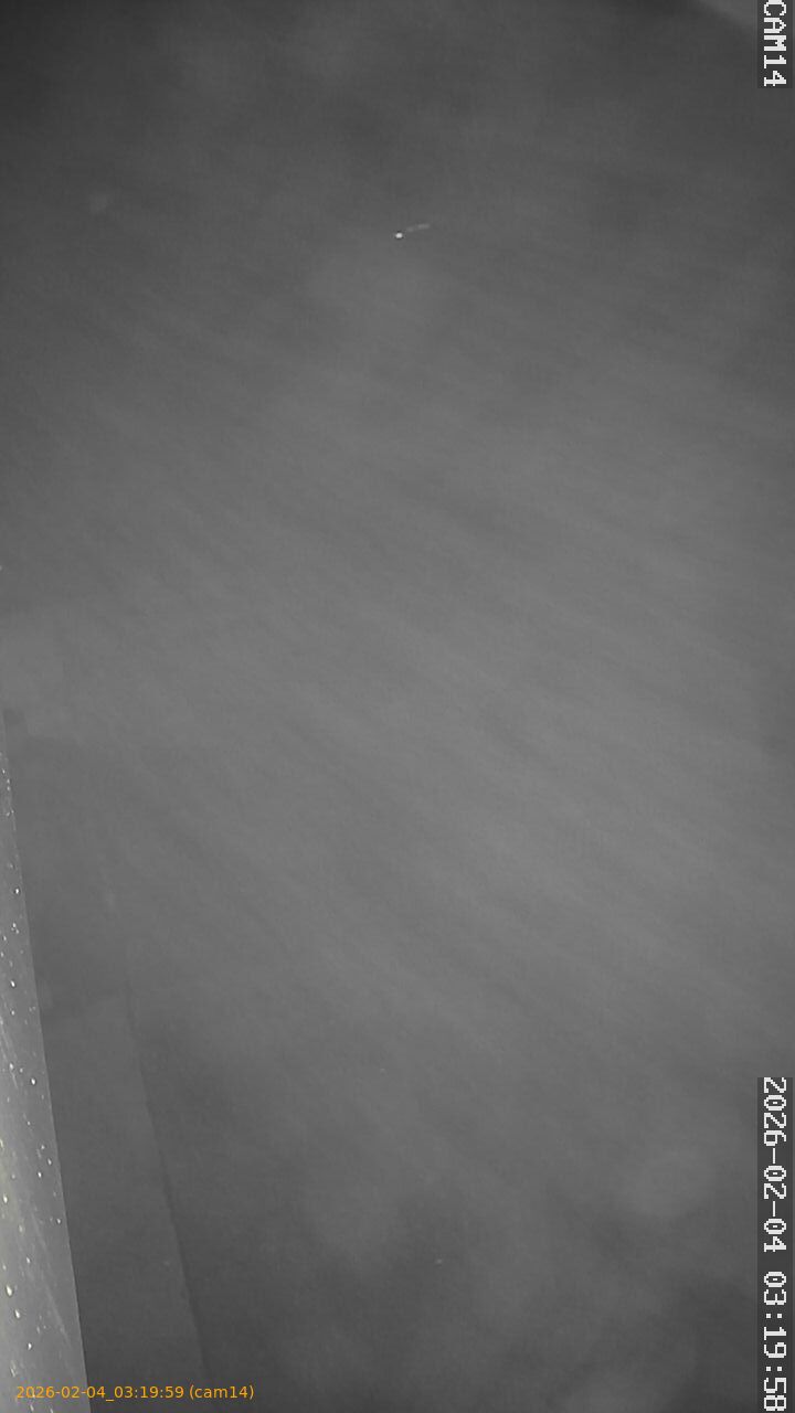 thumbnail_202602040319