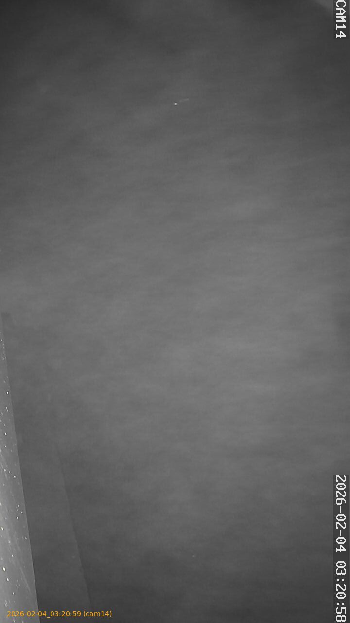 thumbnail_202602040320