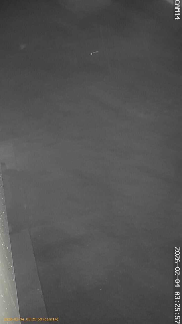 thumbnail_202602040325