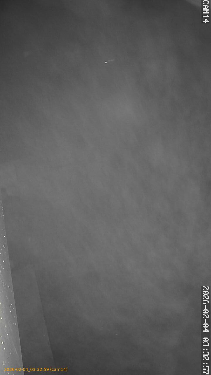 thumbnail_202602040332