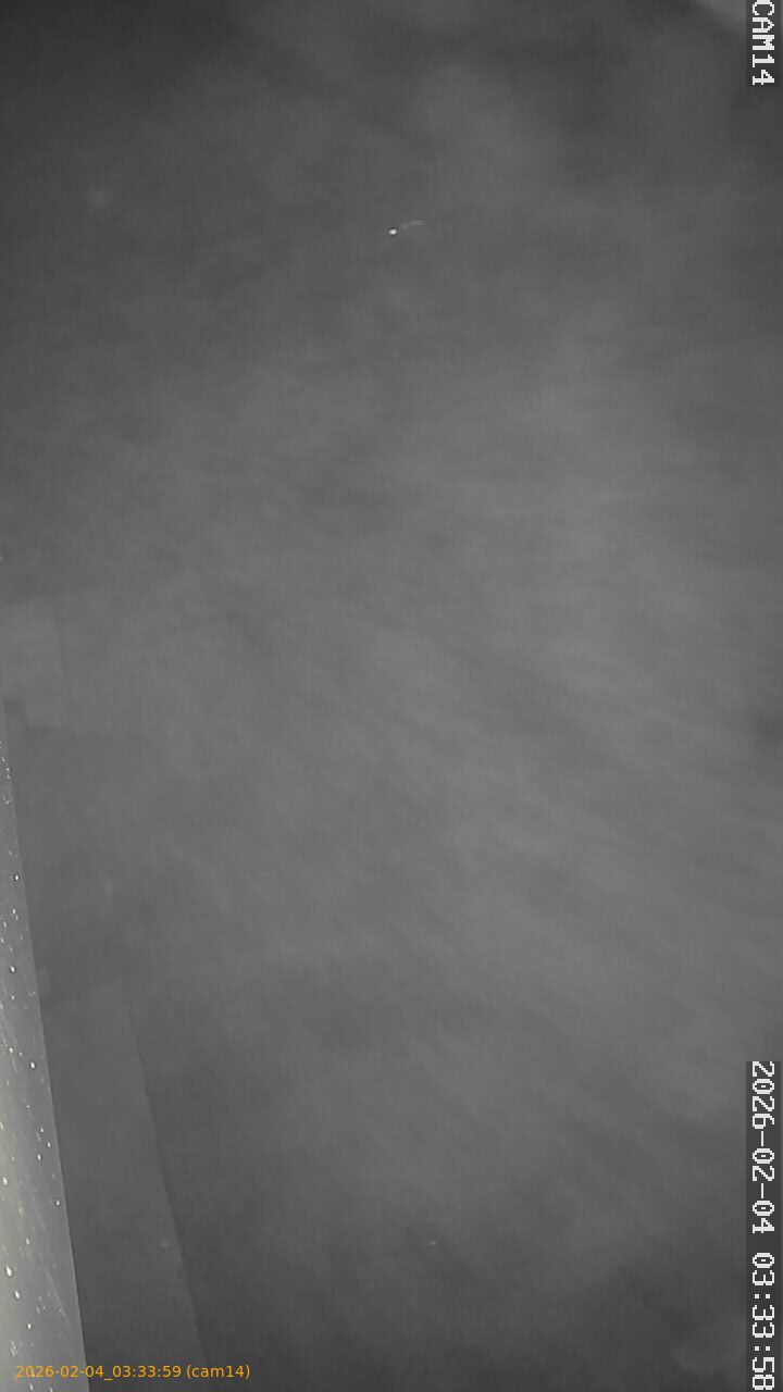 thumbnail_202602040333