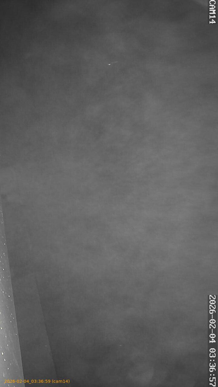 thumbnail_202602040336