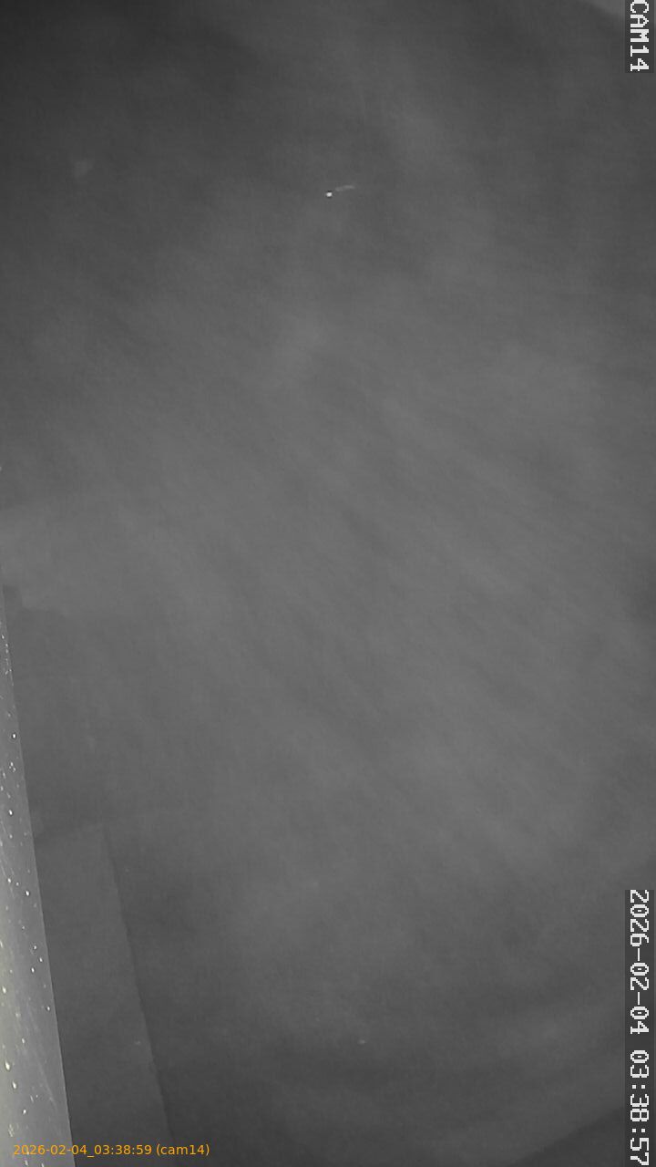 thumbnail_202602040338