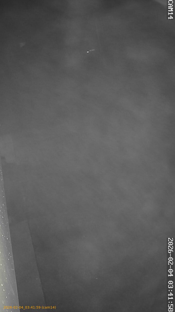 thumbnail_202602040341