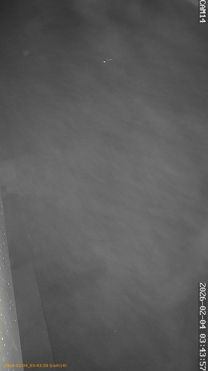 thumbnail_202602040343