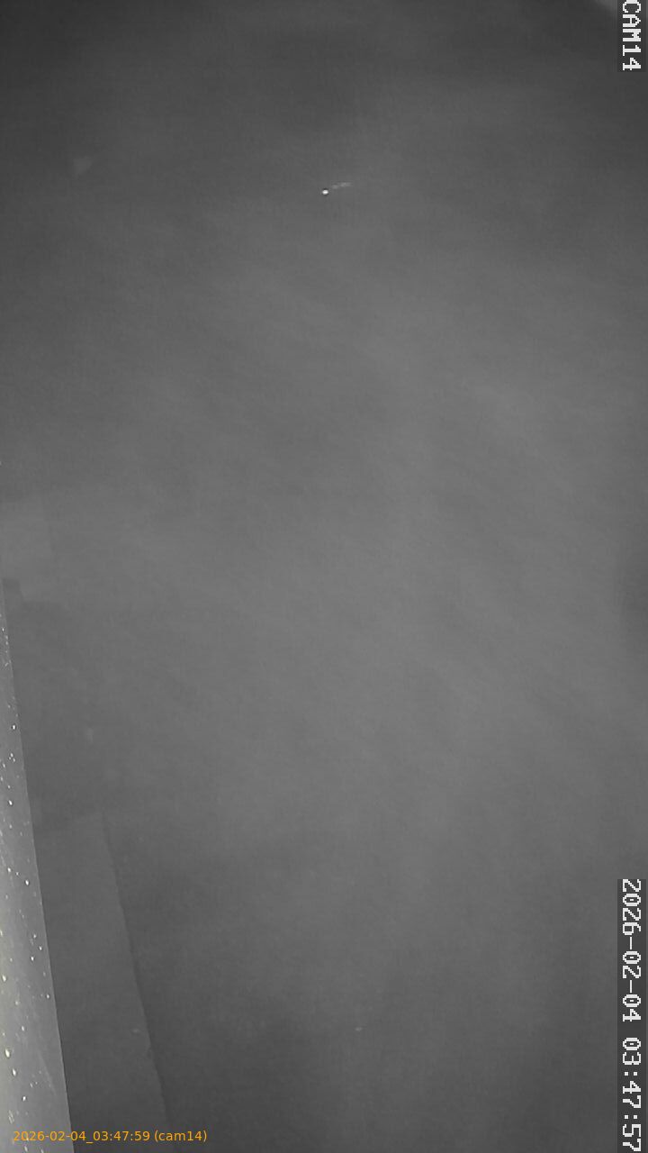 thumbnail_202602040347