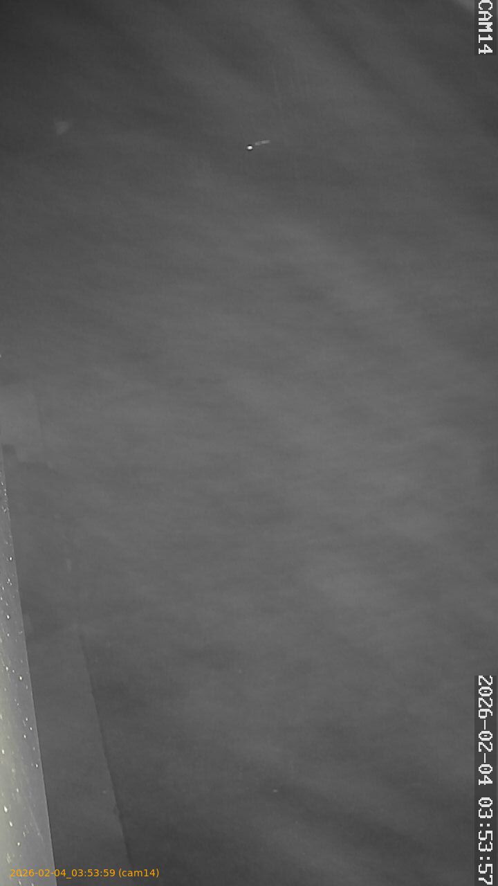 thumbnail_202602040353