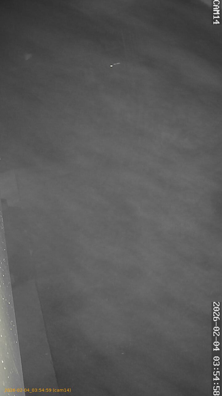 thumbnail_202602040354