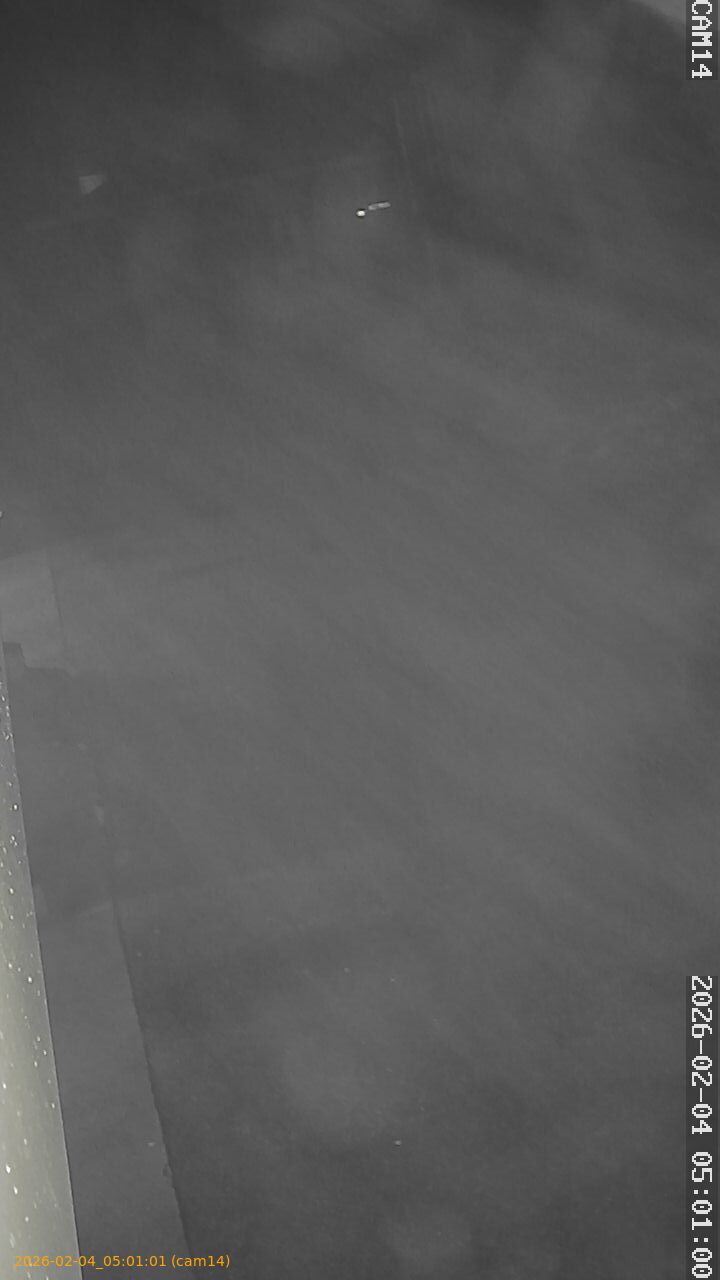 thumbnail_20260204050101