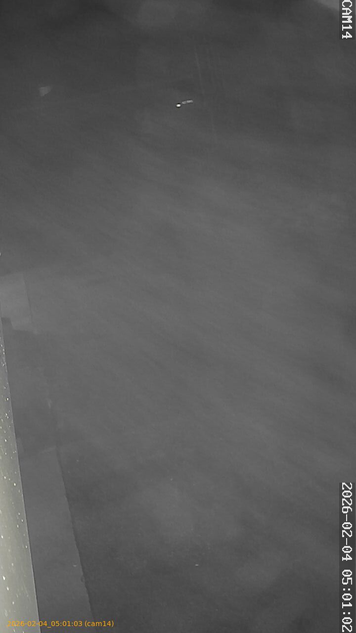 thumbnail_20260204050103