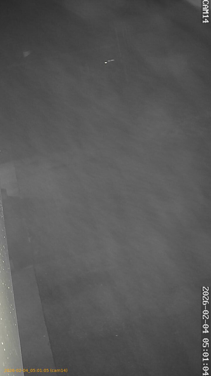 thumbnail_20260204050105