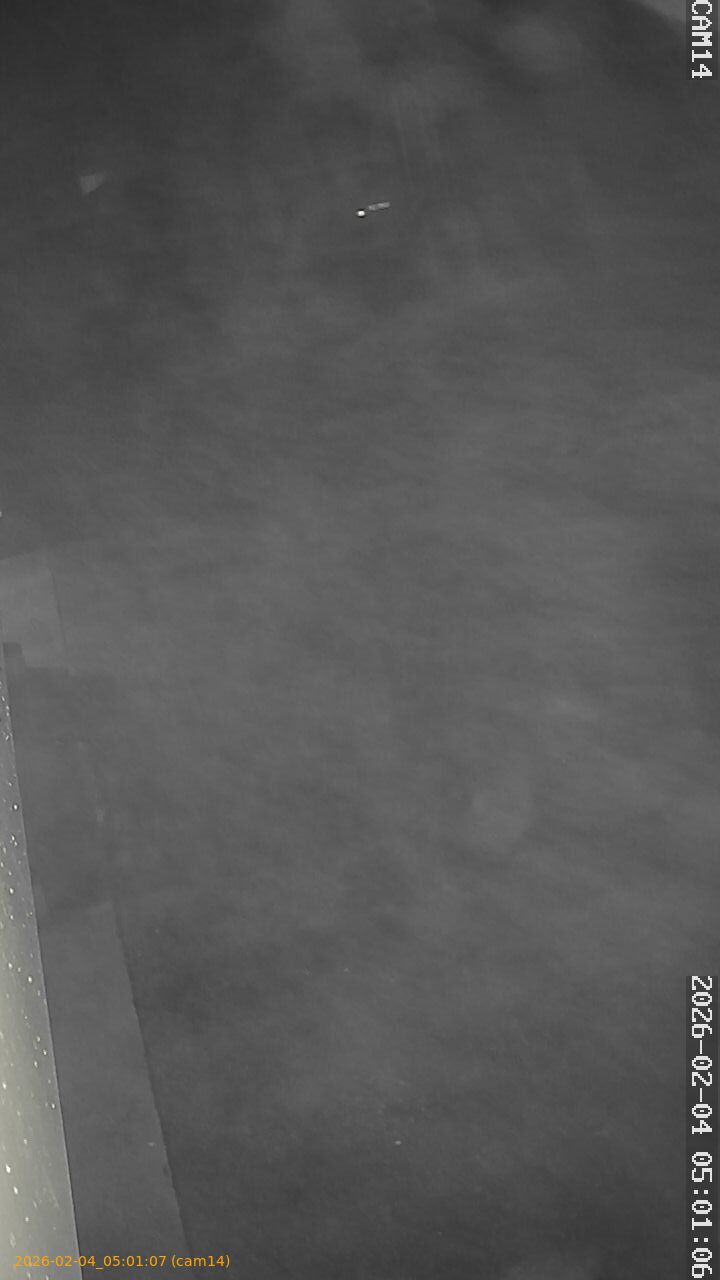 thumbnail_20260204050107