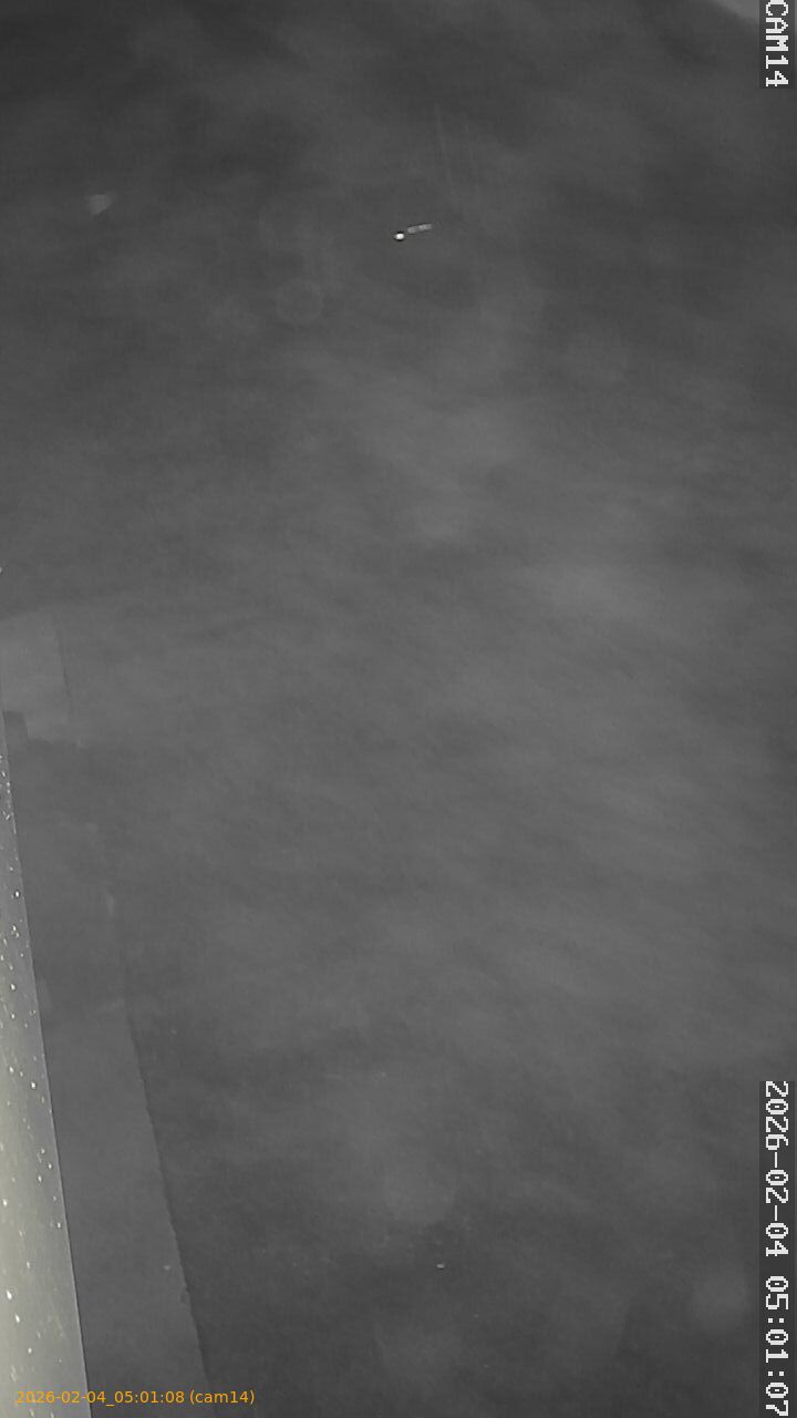 thumbnail_20260204050108