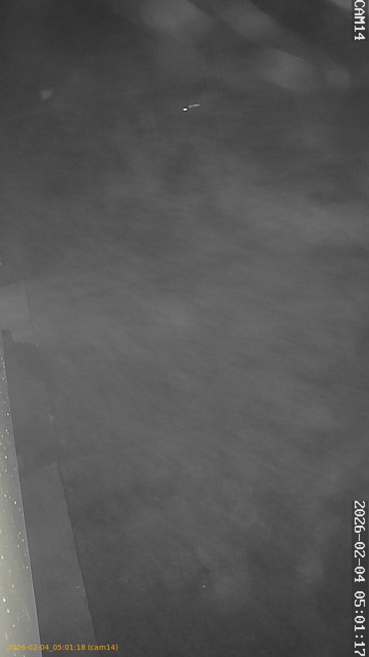 thumbnail_20260204050118