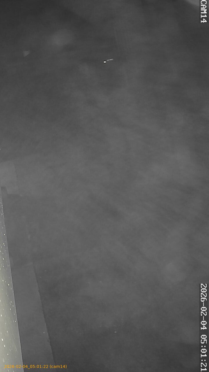 thumbnail_20260204050122