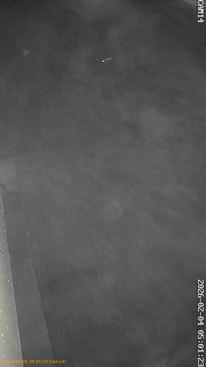 thumbnail_20260204050124