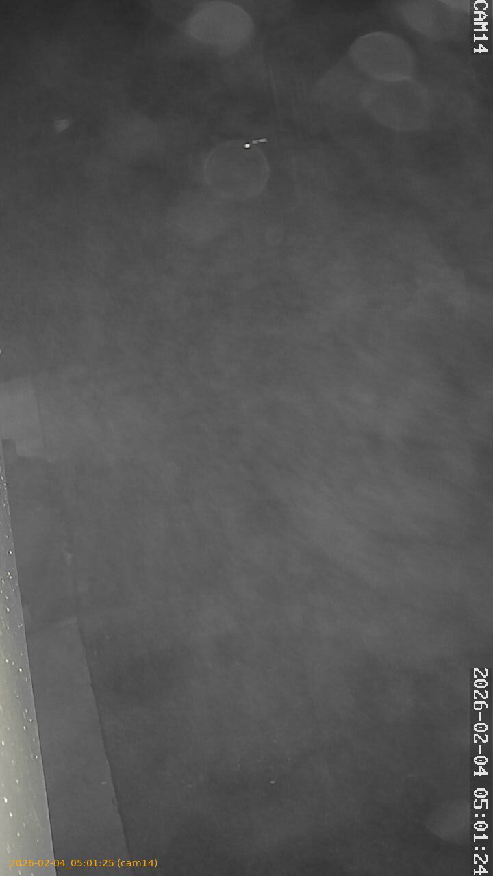 thumbnail_20260204050125