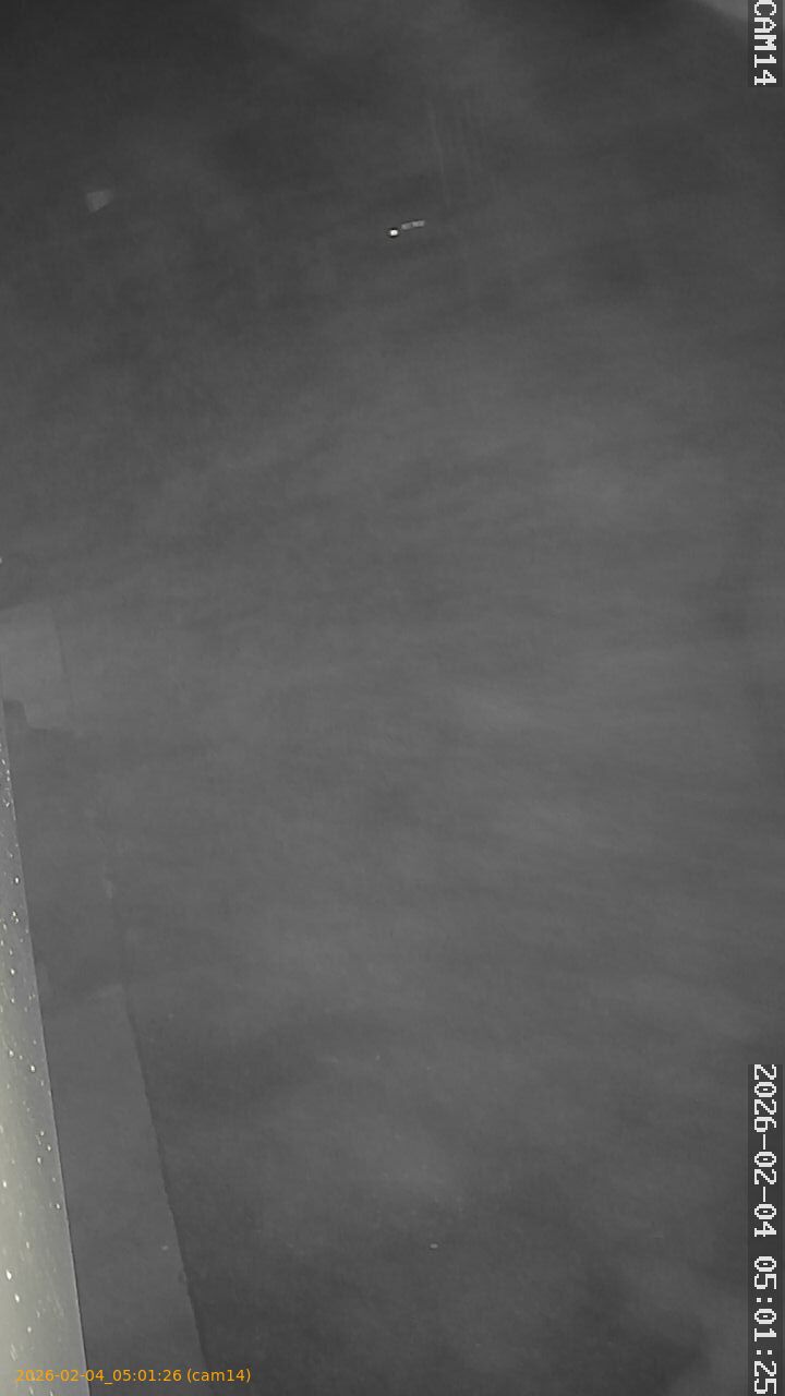 thumbnail_20260204050126