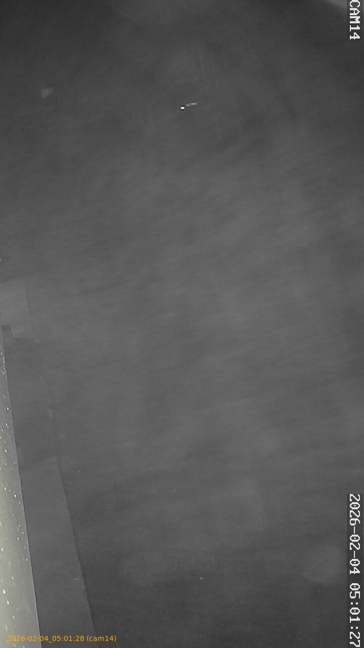 thumbnail_20260204050128