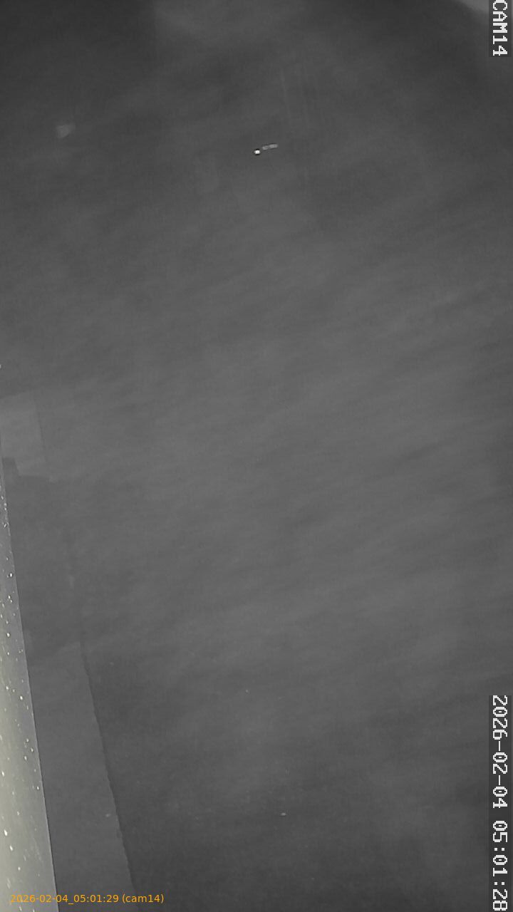 thumbnail_20260204050129