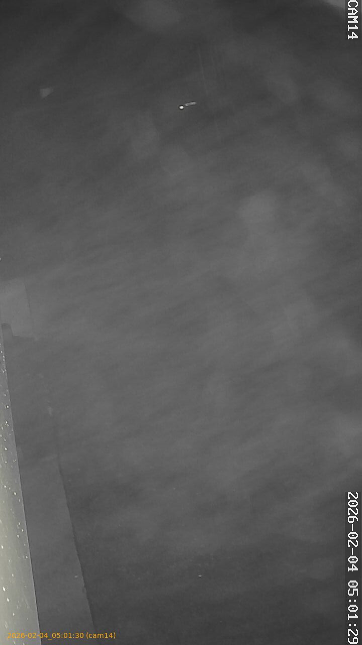 thumbnail_20260204050130