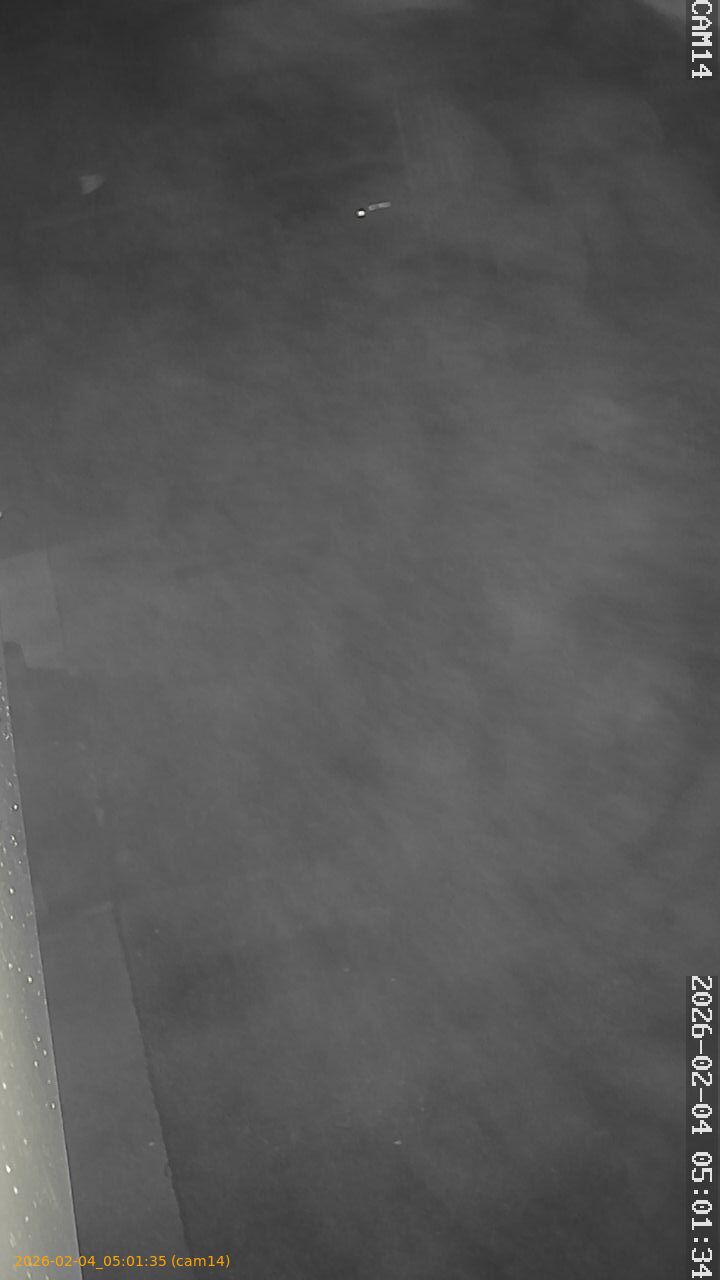 thumbnail_20260204050135