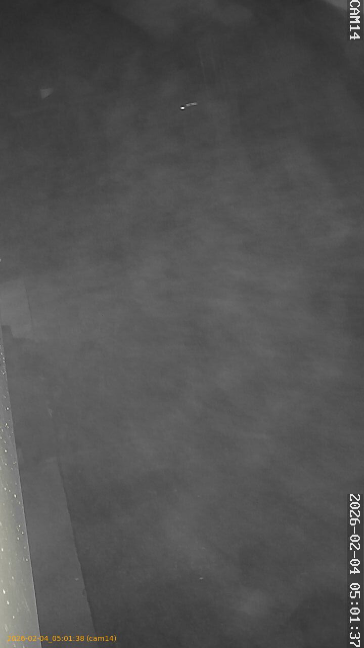 thumbnail_20260204050138