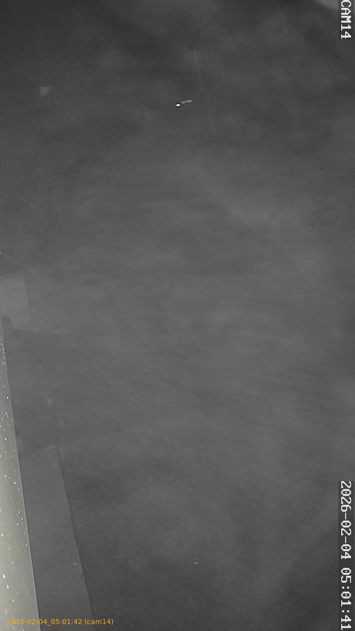 thumbnail_20260204050142