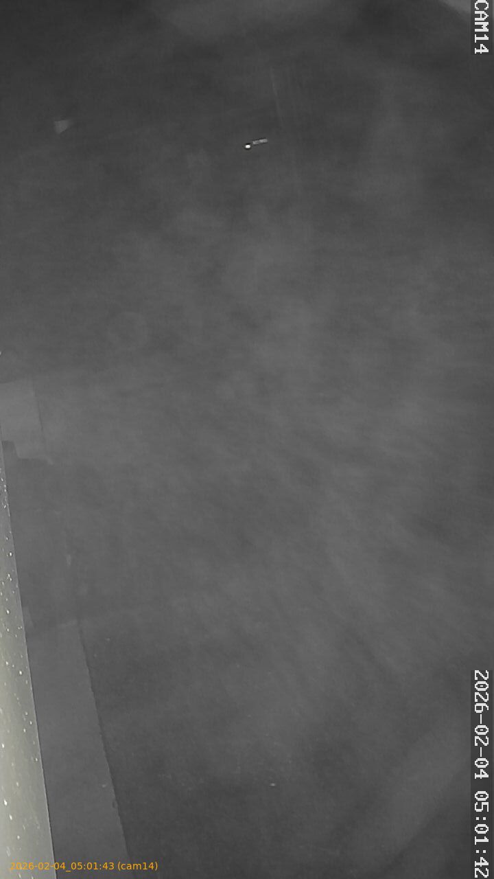 thumbnail_20260204050143