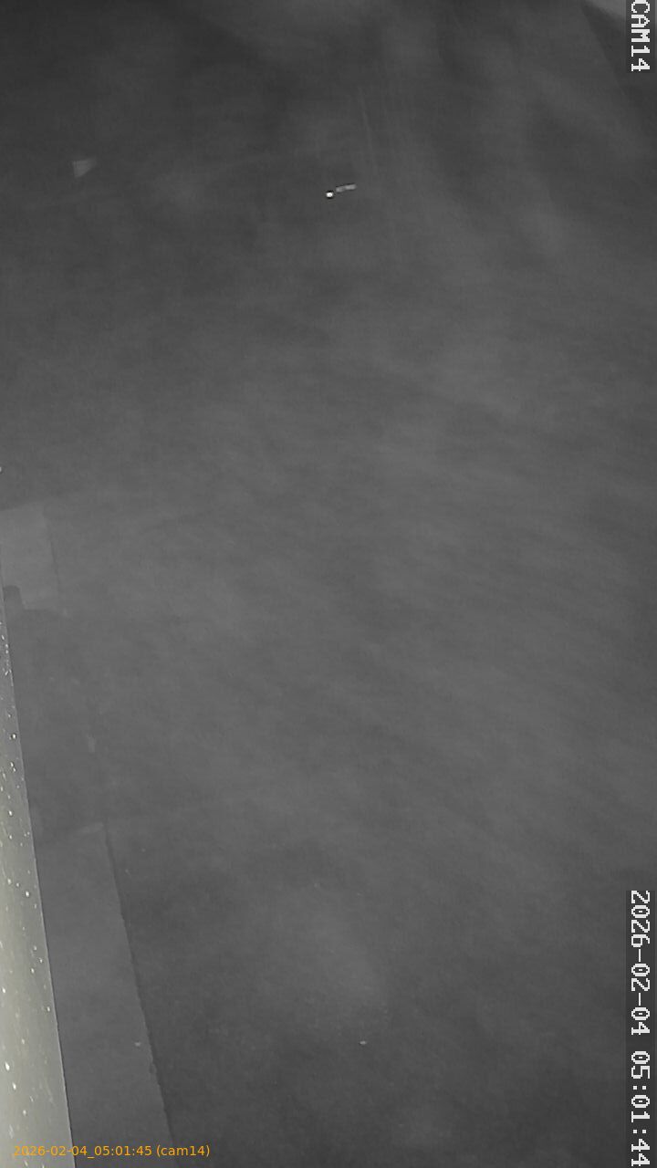 thumbnail_20260204050145