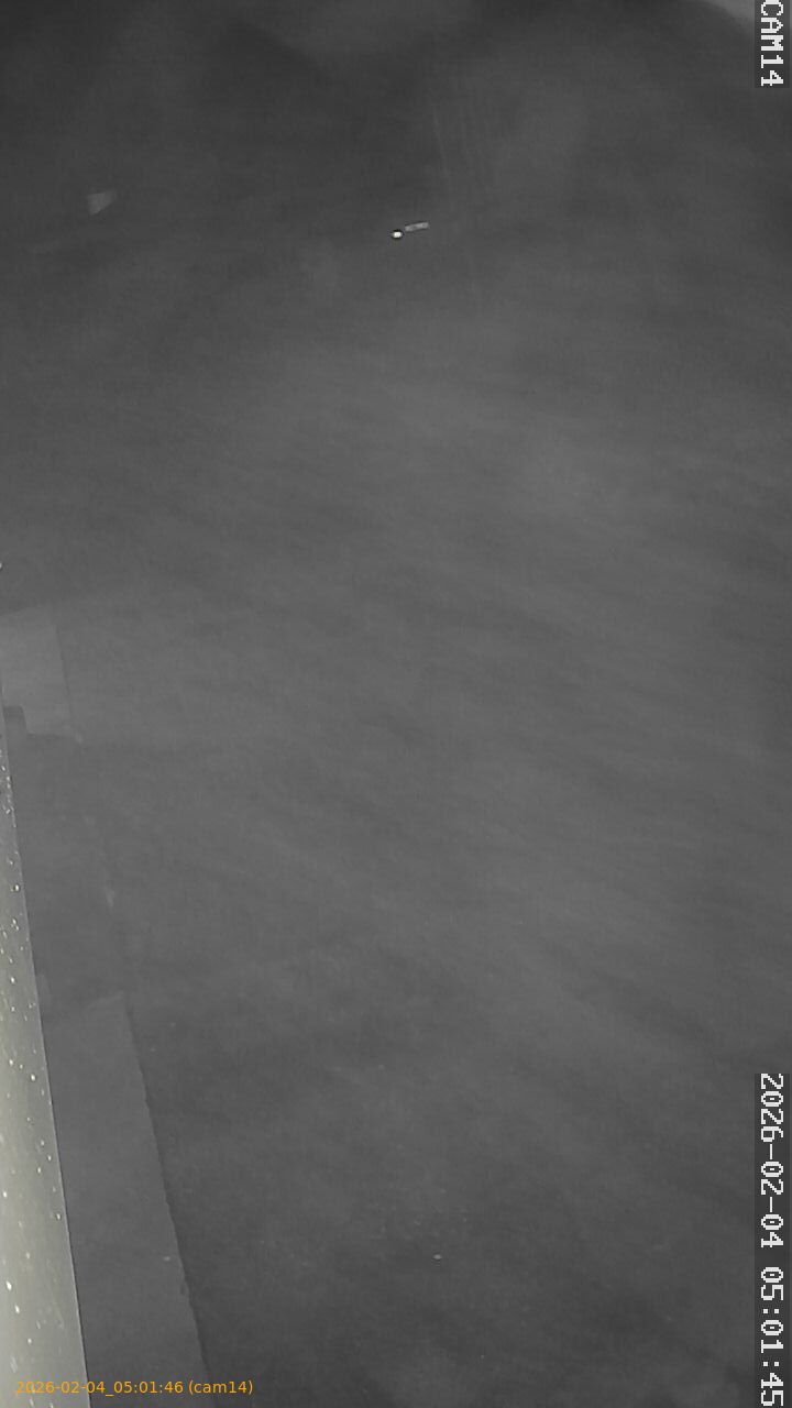 thumbnail_20260204050146