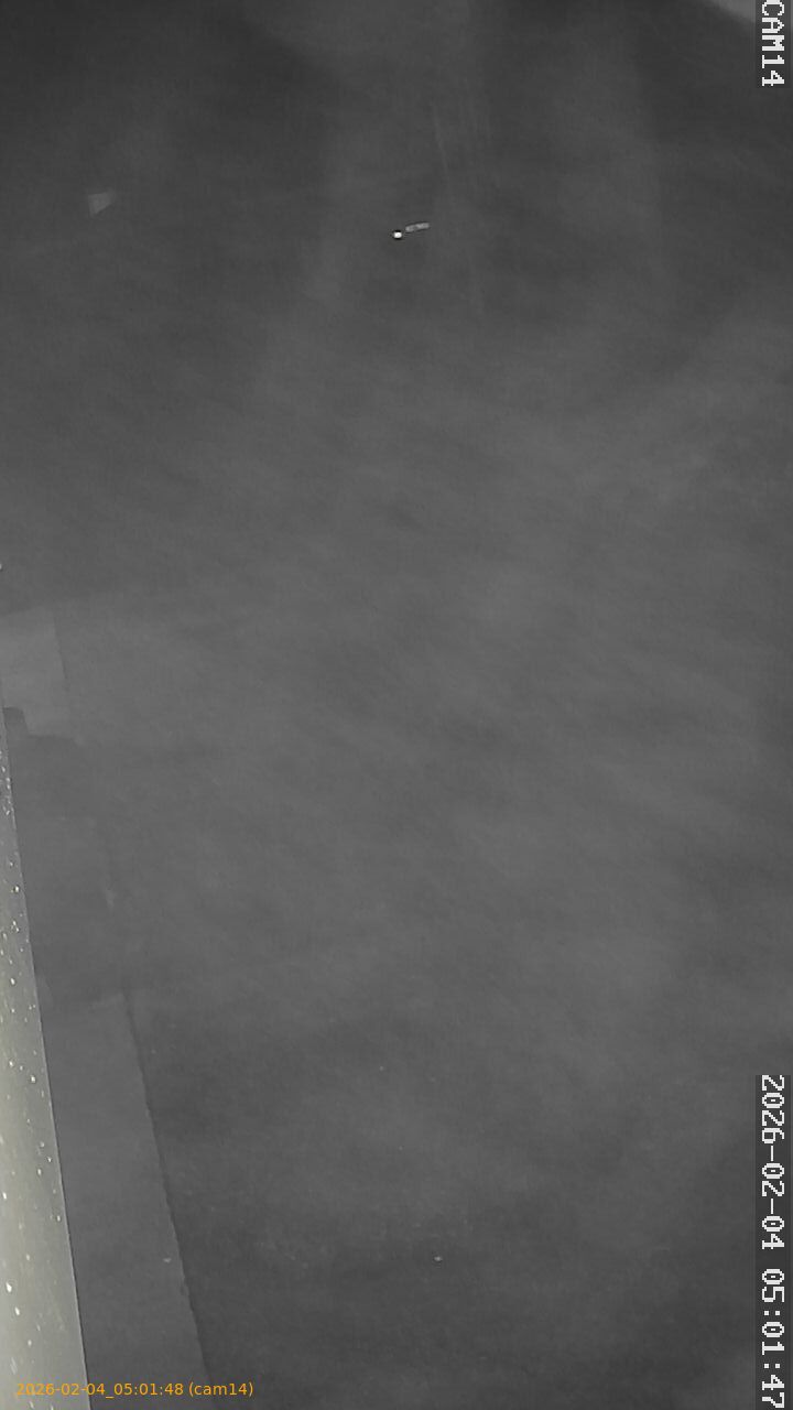 thumbnail_20260204050148