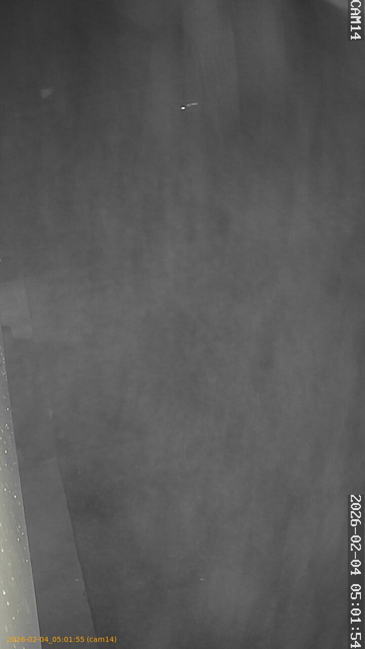 thumbnail_20260204050155