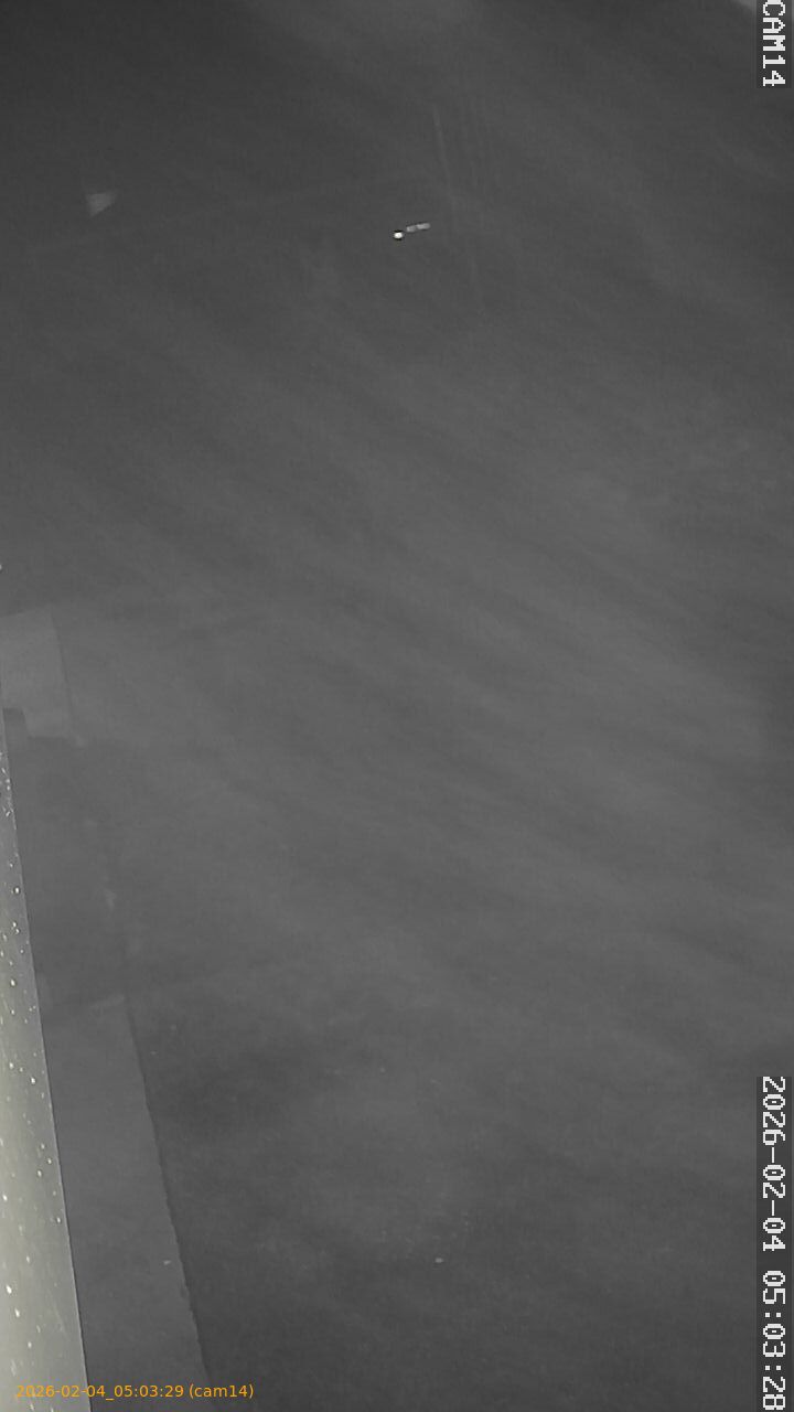 thumbnail_20260204050329