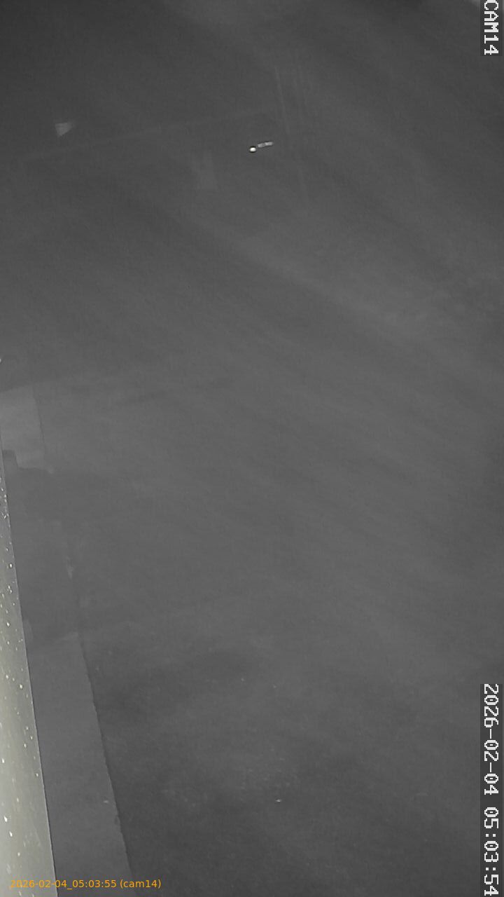 thumbnail_20260204050355