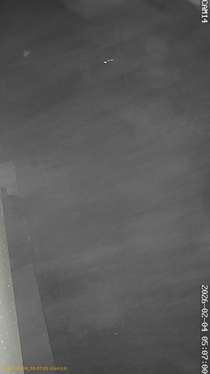 thumbnail_20260204050701