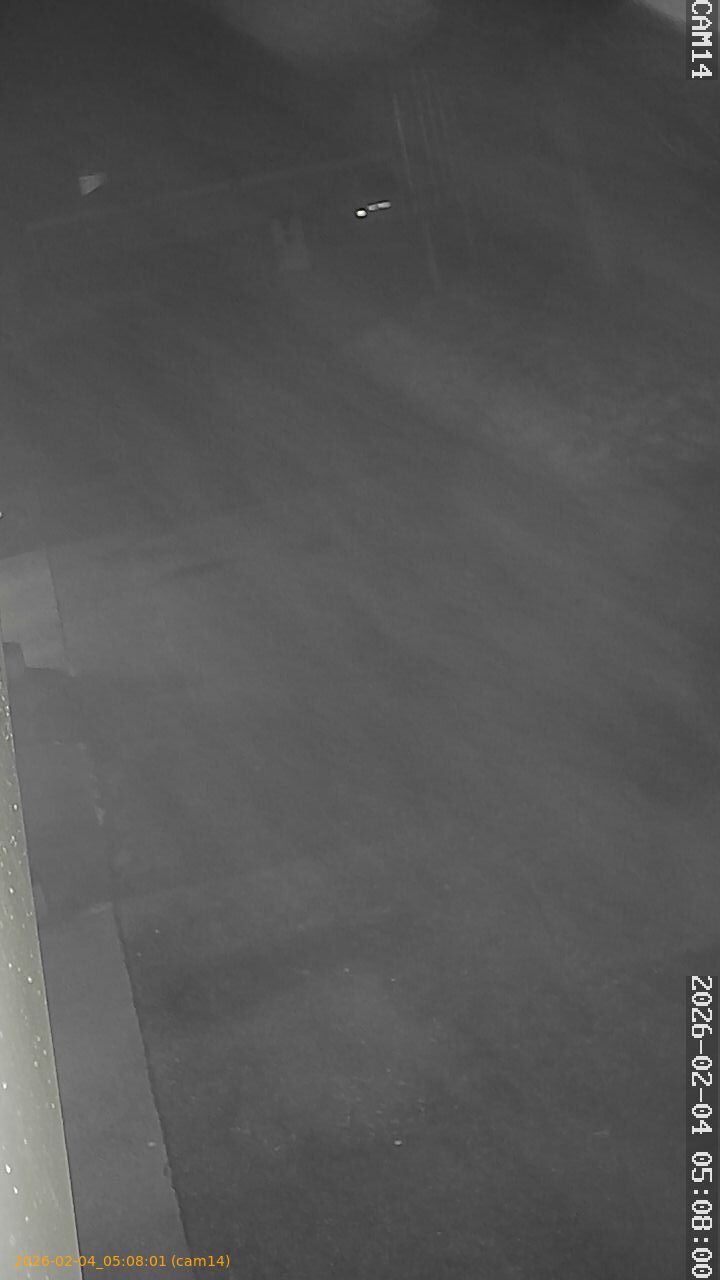 thumbnail_20260204050801