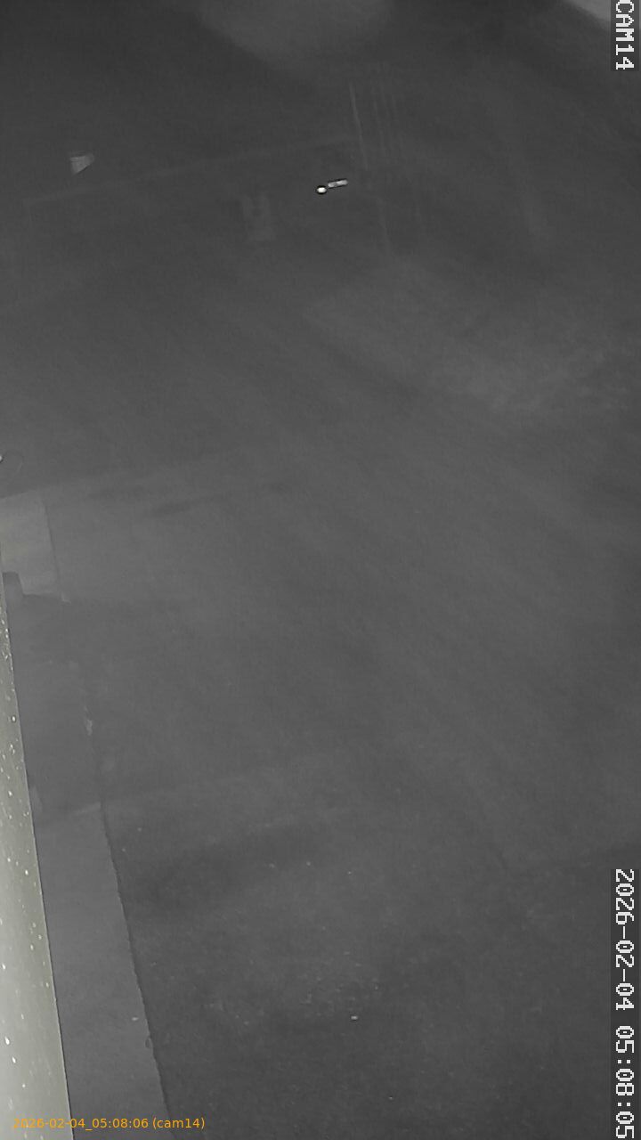 thumbnail_20260204050806