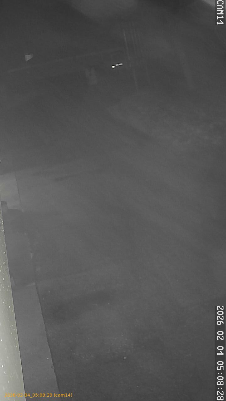 thumbnail_20260204050829