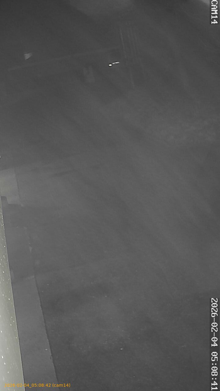 thumbnail_20260204050842