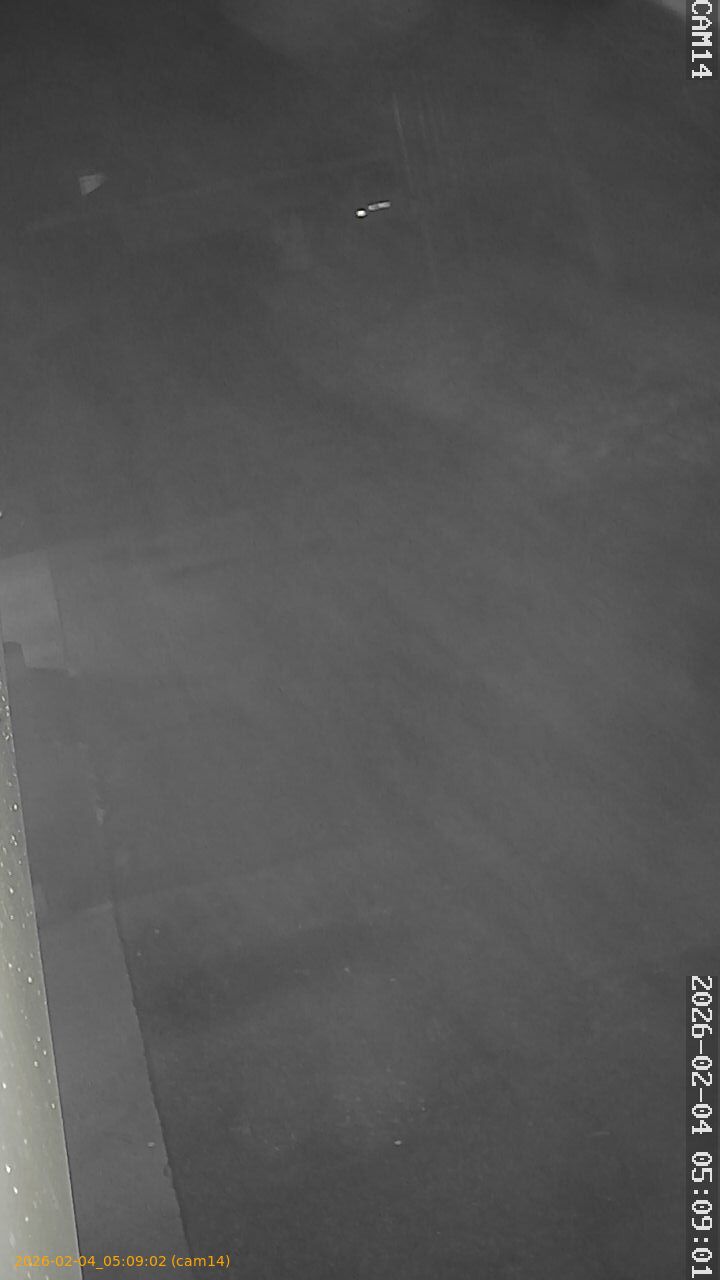 thumbnail_20260204050902