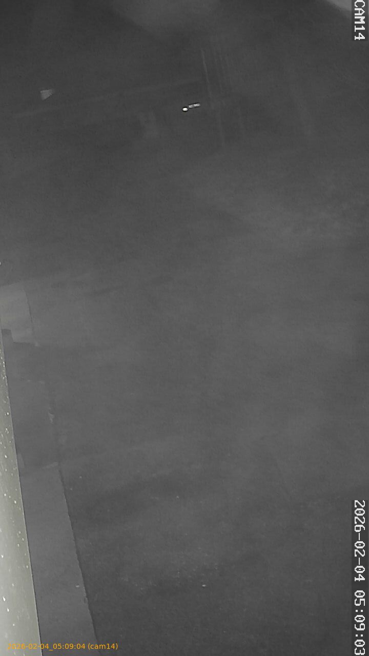 thumbnail_20260204050904